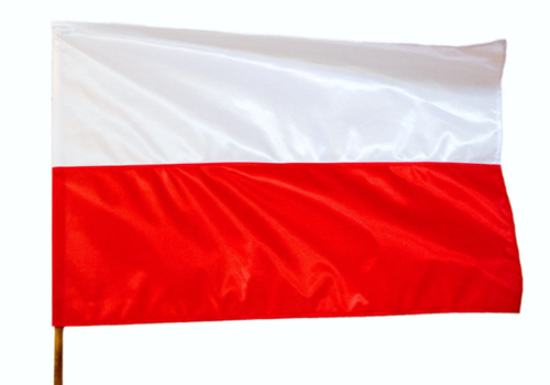 Will The Simplified Restructuring Proceedings Stay In Polish Legislation For Good The Draft Act Is Ready Instytut Prawa Upadlosciowego I Restrukturyzacyjnego Oraz Badan Nad Niewyplacalnoscia
